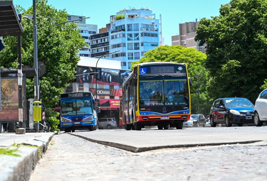 Fotos: Ramiro Domínguez Martinelli