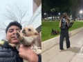 Una historia de amor perruno en Plaza Italia: busca al dueño de “Batata” y él le dio una señal