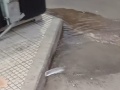 Reclaman por desagote en centro platense: “Tenemos unas plazas increíbles, lástima que hay cloacas desbordadas"