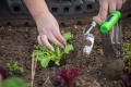 Fomentar la soberanía alimentaria: Taller de huerta agroecológica