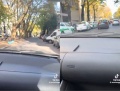 El “milagro Guinzburg”: invocaron al periodista y consiguieron estacionar en pleno centro de La Plata