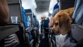 Desde ahora se podr&aacute; viajar con mascotas en micros y trenes de larga distancia