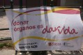 En el Día Nacional de la Donación de Órganos el Incucai informó que realizó más de 1300 trasplantes