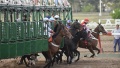 La Provincia ampli&oacute; el negocio de las carreras de caballos y habilit&oacute; nuevas apuestas