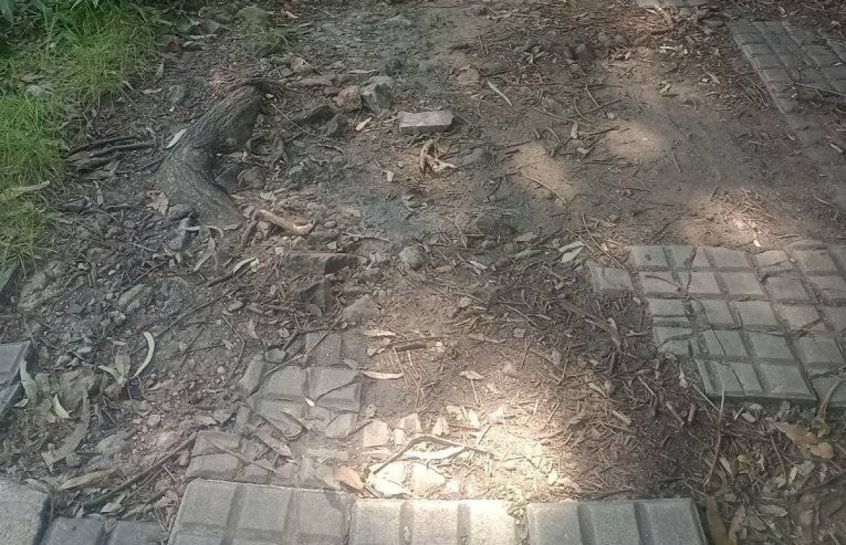 En 71 y 13 se quejaron por el estado de las veredas: "Es un peligro ...