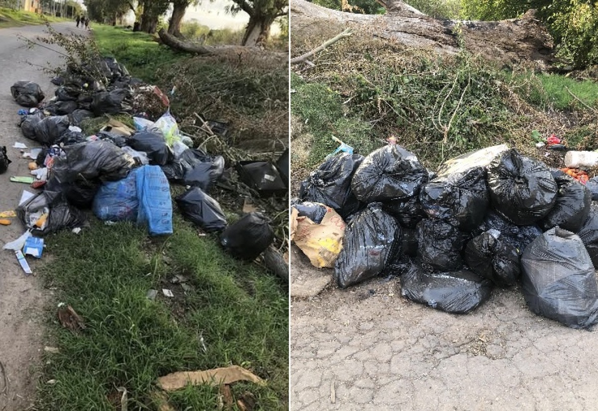 Reclaman por la basura acumulada en una cuadra de Abasto: "Hay ratas y ...