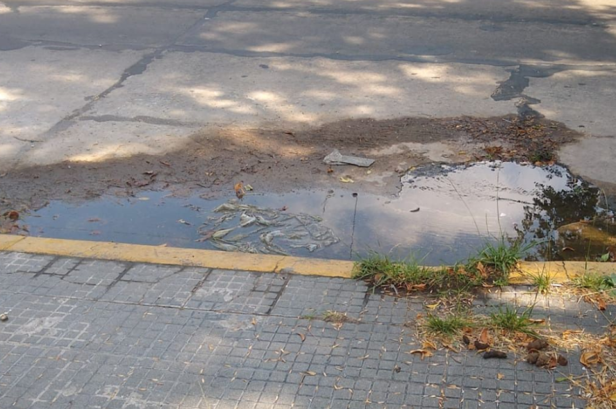 Una pérdida de agua generó un pozo en 37 entre 14 y 15
