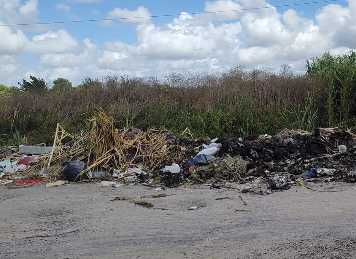 En 526 y 131 se quejaron por un basural que ya ocupa un sector de la ...