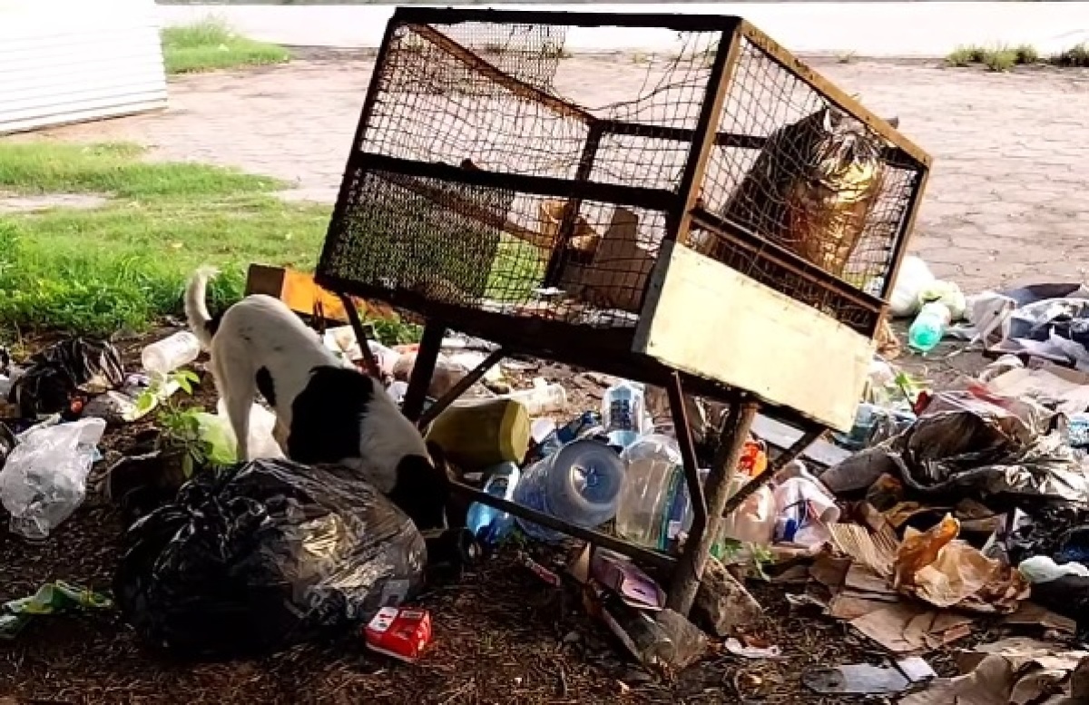En 2 y 609 se quejaron por la gran cantidad de basura sin recolectar