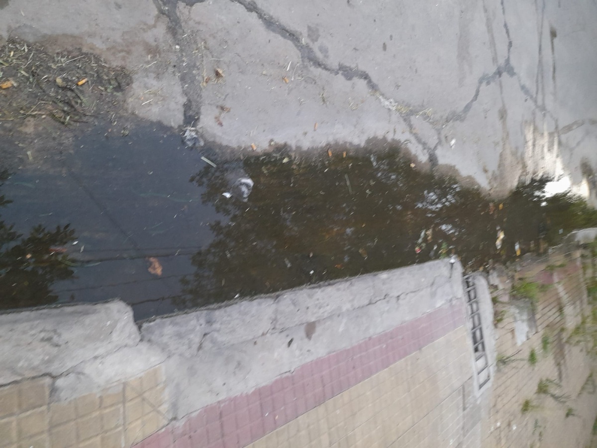 En Los Hornos hay una pérdida de agua importante y los vecinos ...