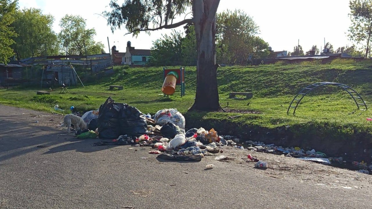 Denuncian acumulación de basura en 121 y 527: “La zona está llena de ratas”