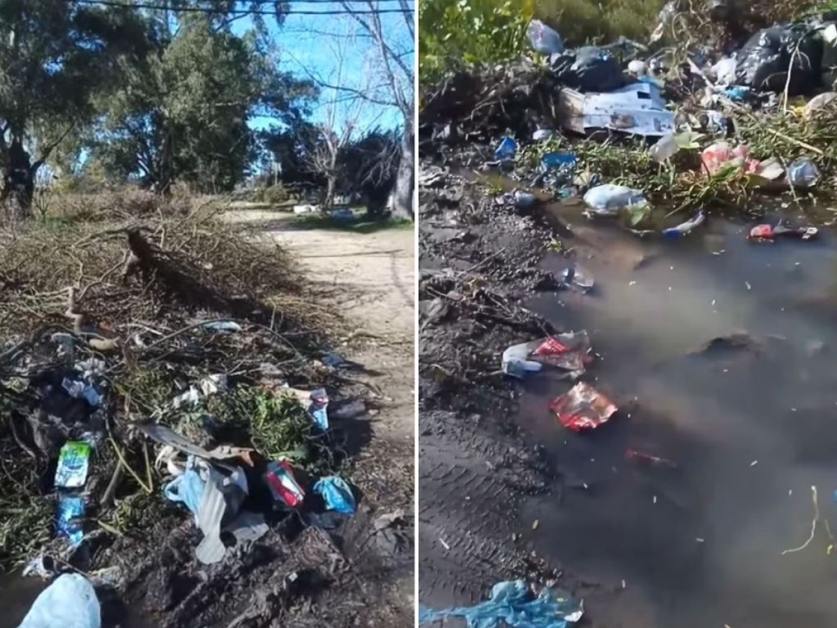 Vecinos denuncian basura y acumulación de agua en 58 y 156