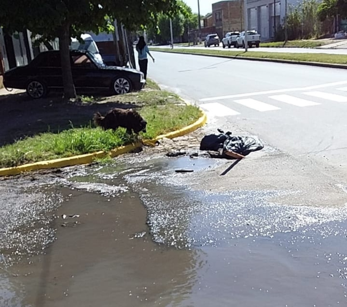 Vecinos de 160 y 66 reclaman por el mal estado de las calles: “Pintar ...