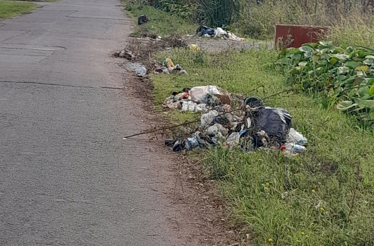 Vecinos reclaman por la basura en una cuadra de Hernández: "Esto ...