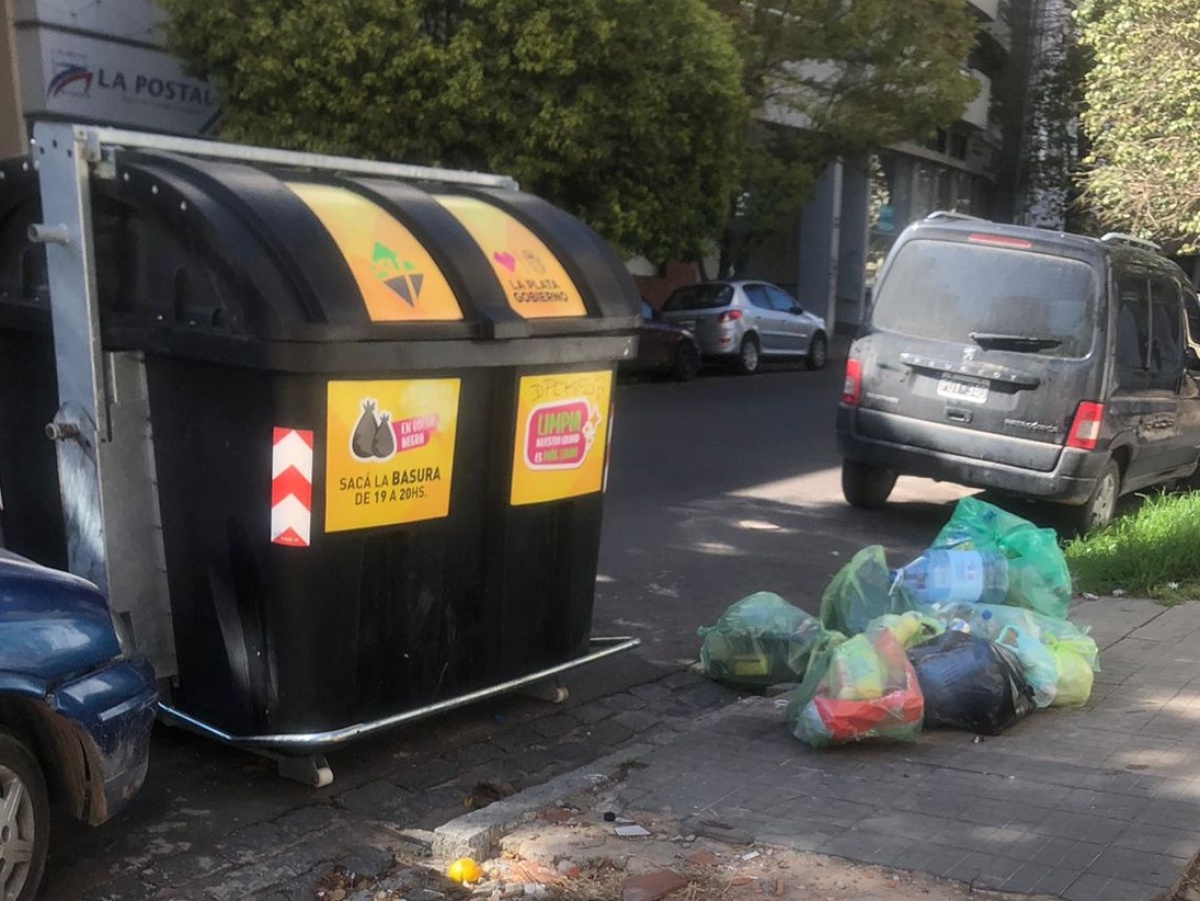 "Necesitamos que se lleven toda la basura": el reclamo de los vecinos ...