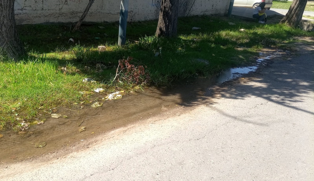 Reclaman por una pérdida de agua afuera de un colegio de Los Hornos ...