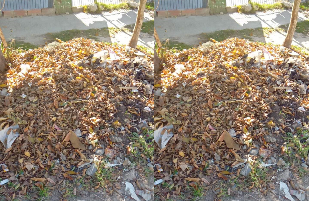 Vecinos de Berisso se quejaron por la cantidad de basura acumulada
