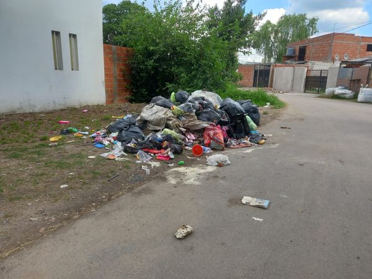 En 73 y 152, reclamaron por la falta de recolección de residuos: "Es ...
