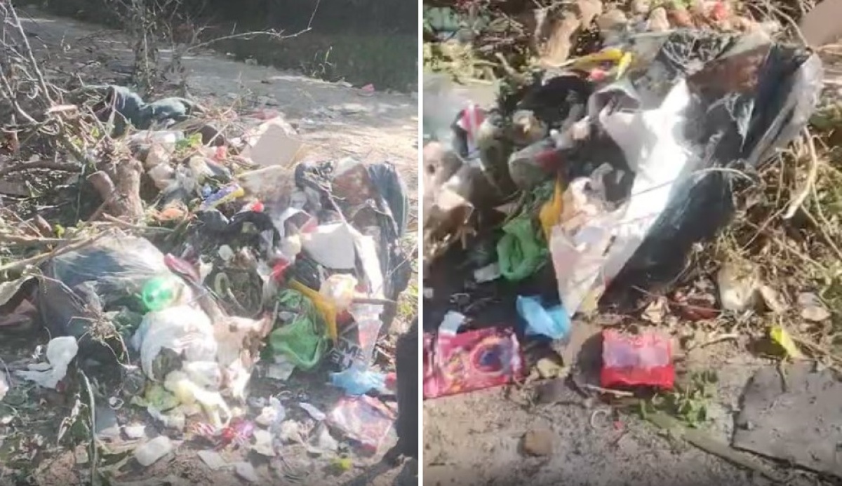 Reclaman por la acumulación de basura en 6 y 97: "La gente pasa en auto ...