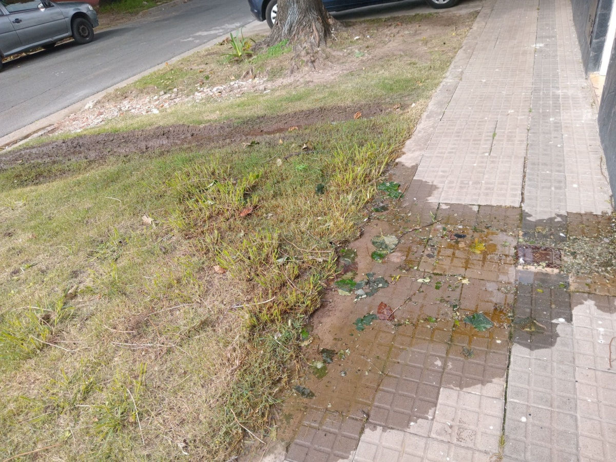 Vecinos reclaman por una pérdida de agua en una vereda de Los Hornos