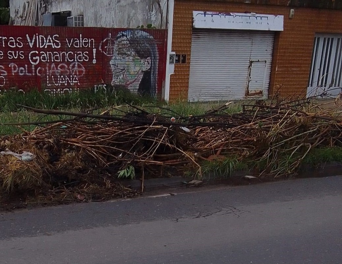 En 66 y 151, vecinos reclamaron por la falta de recolección de ramas y ...