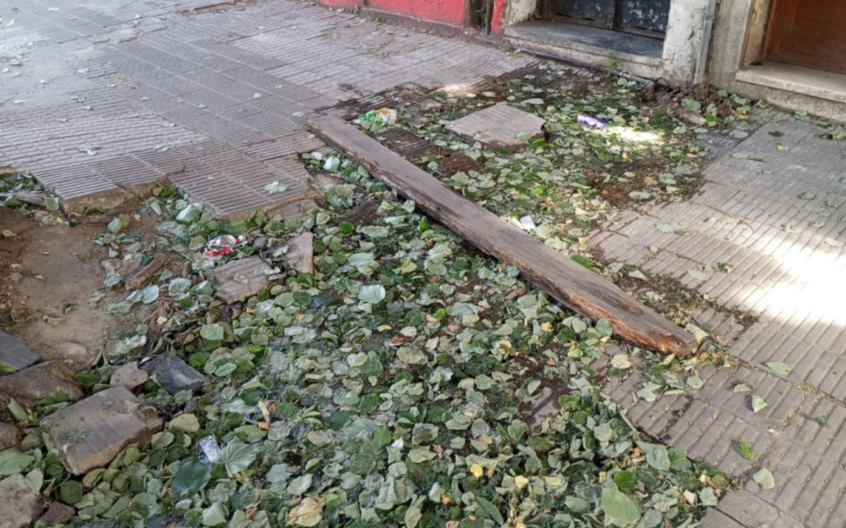 Reclaman por una pérdida de agua en la vereda de 3 y 57