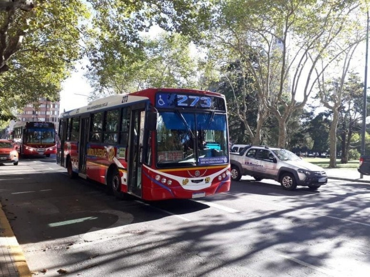 Se levantó el paro de micros en La Plata ya circulan con el servicio ...