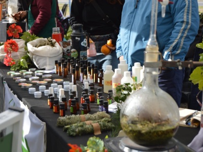 En La Plata llega la feria agroecológica, juegos y shows en el Paseo del Bosque