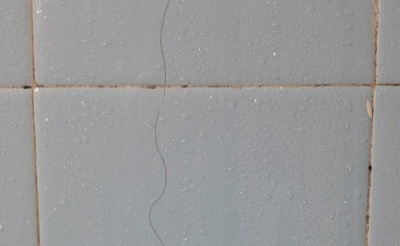 Encontró un pelo de otra chica en el baño de su casa y dudó del argumento de su pareja: "Voy a fingir demencia hasta que..."