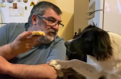 Le enseñó a su perro a comer la pizza de a pedacitos y se hizo viral en las redes: "Le explica y hace caso"