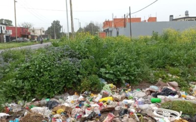En Los Hornos reclaman por la basura acumulada y por el volumen del pasto