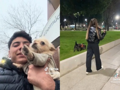 Una historia de amor perruno en Plaza Italia: busca al dueño de “Batata” y él le dio una señal