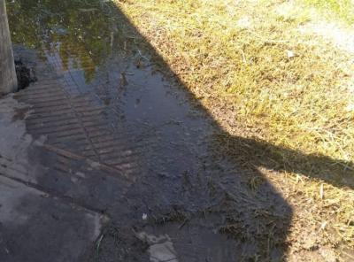 Por una pérdida de agua una vereda de La Plata está siendo destruida