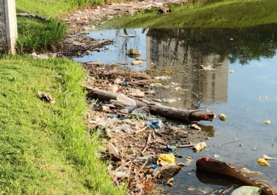 Vecinos se quejaron por la falta de limpieza en la laguna del Parque Saavedra