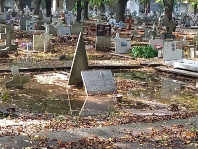 Denuncian falta de mantenimiento en el Cementerio de La Plata: "Todo sin cuidado"