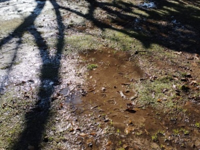 Vecinos de Plaza Azcuénaga reclaman por una salida de agua