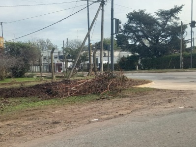 Vecinos de 173 y 44 piden por la recolección de ramas