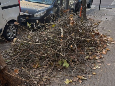 Vecinos de la esquina de 5 y 56 exigen que retiren las ramas tiradas