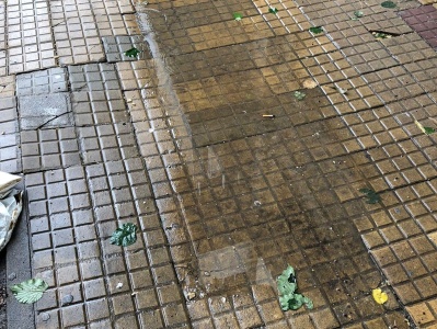 "Cada vez que llueve, caminas y las baldosas salpican agua": el reclamo de los platenses por las veredas del centro