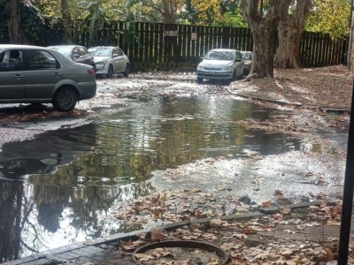 Se formó una "laguna" en una calle platense y los vecinos reclaman: "El desperdicio es enorme"