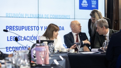 El Gobierno no tiene los votos para eliminar las PASO y el Senado reactiva la reforma electoral