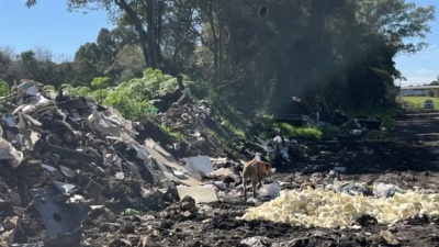 Un basural que no da tregua en La Plata: denuncian animales muertos, escombros y cubiertas rotas