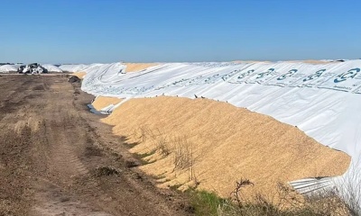 Diputados aprob&oacute; el proyecto contra el vandalismo rural que establece penas de hasta 10 a&ntilde;os de prisi&oacute;n