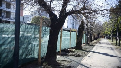 Robaron bater&iacute;as de las m&aacute;quinas del Parque Saavedra de La Plata y cayeron cuando escapaban