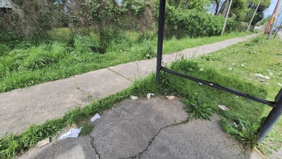 Vecinos de Tolosa denuncian abandono en una parada de micros y reclaman una garita nueva