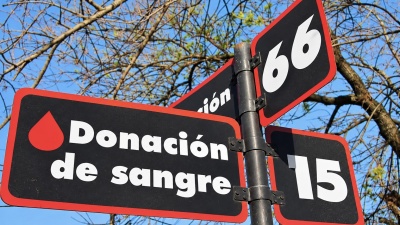 Preocupaci&oacute;n en La Plata por la ca&iacute;da de donantes de sangre: necesitan casi el doble para cubrir la demanda