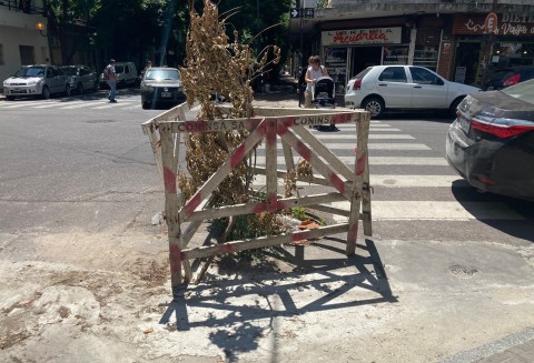 "Ya no sabemos hace cuánto está así": Quejas entre los vecinos del centro de La Plata por un bache señalizado con ramas