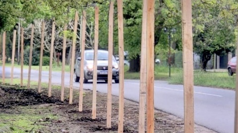 La Municipalidad cerr&oacute; parte del Parque Boveri en City Bell y no permitir&aacute; que vuelva a funcionar la feria americana