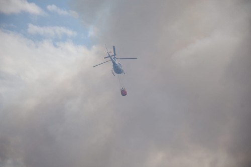 Cómo empezó el incendio en la Reserva Natural de Punta Lara que generó preocupación en La Plata y la región