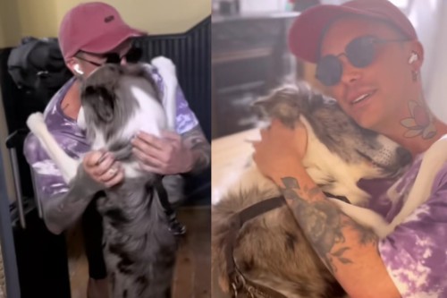 No veía a su perro desde hace un mes y la forma en que lo recibió se hizo viral: "Literalmente te abraza"